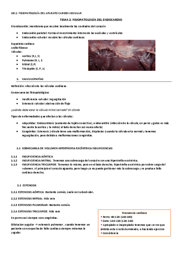 Miniatura del documento TEMA-2.pdf