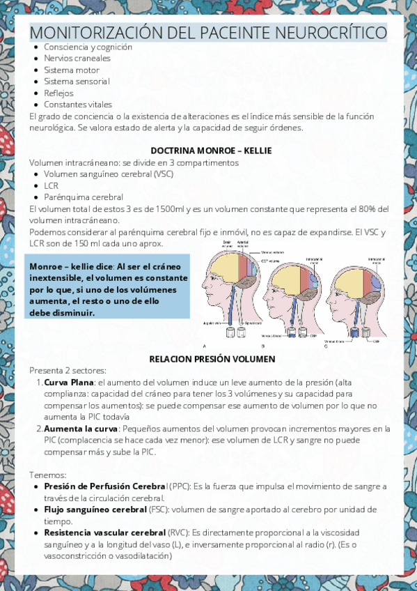 Miniatura del documento Monitorizacion-del-paciente-neurocritico.pdf