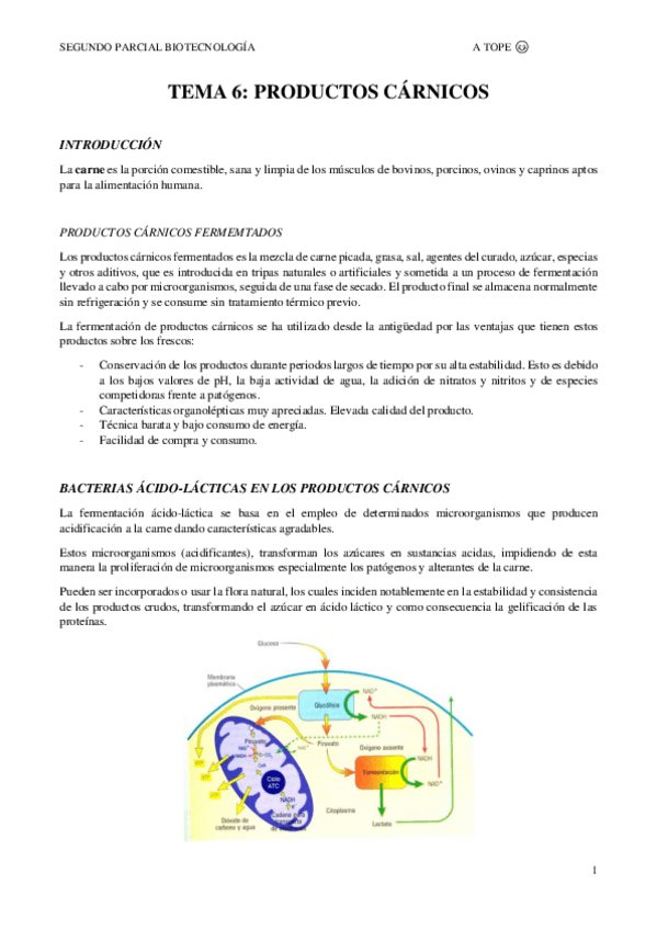 Miniatura del documento TEMA-6.pdf