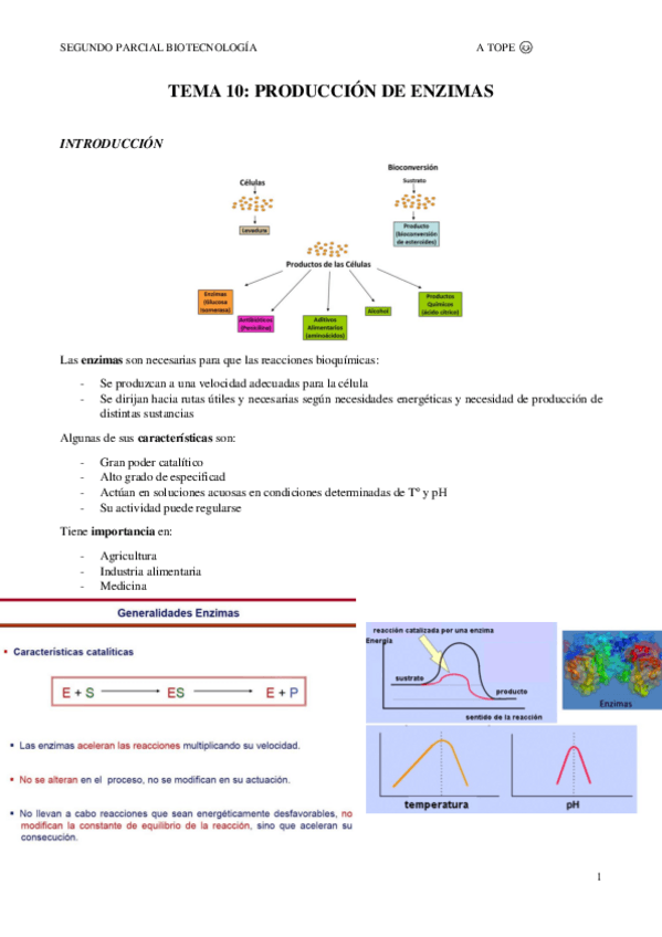 Miniatura del documento TEMA-10.pdf