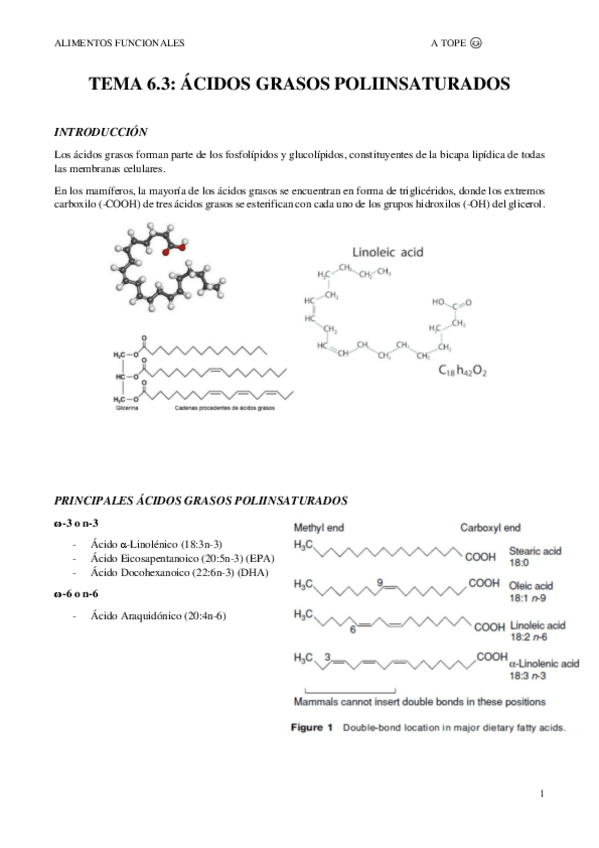 Miniatura del documento TEMA-6.3.pdf