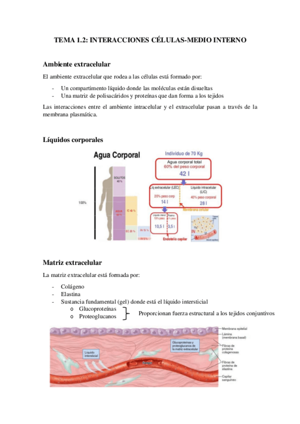 Miniatura del documento TEMA-1.2.pdf