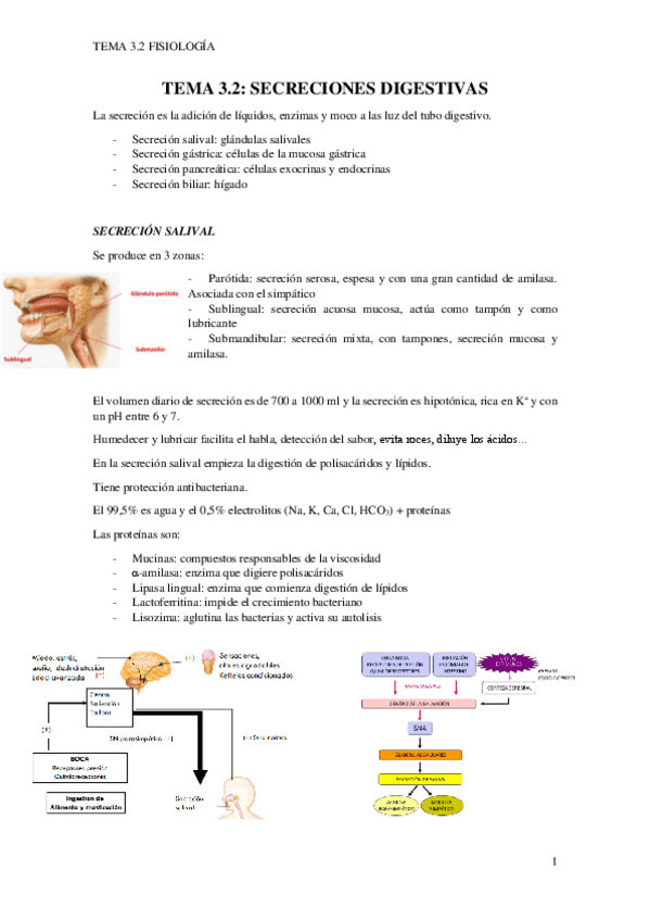 Miniatura del documento TEMA-3.2.pdf