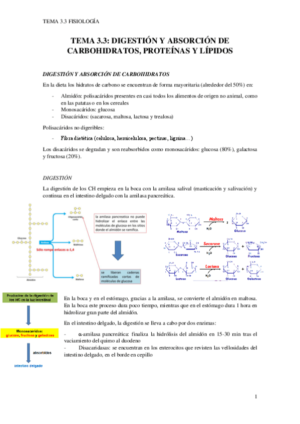 Miniatura del documento TEMA-3.3.pdf