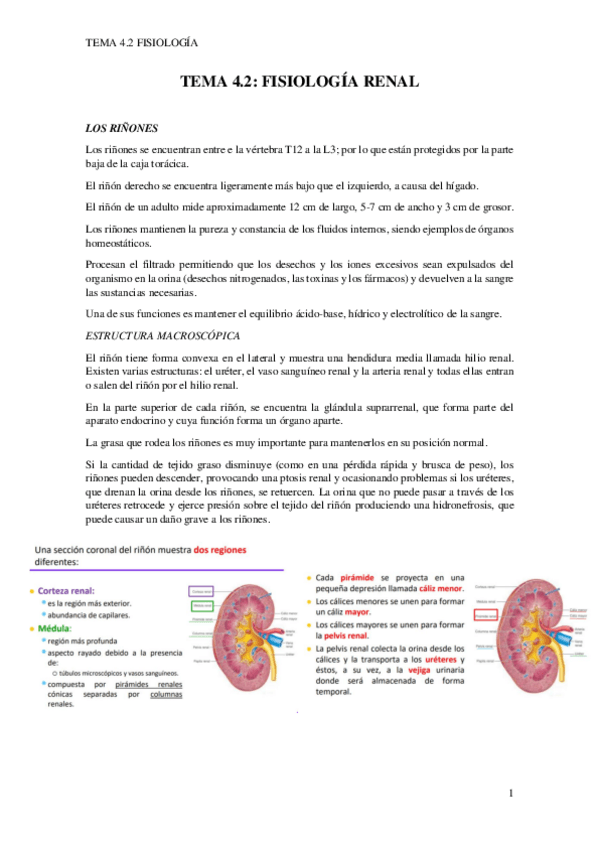 Miniatura del documento TEMA-4.2.pdf