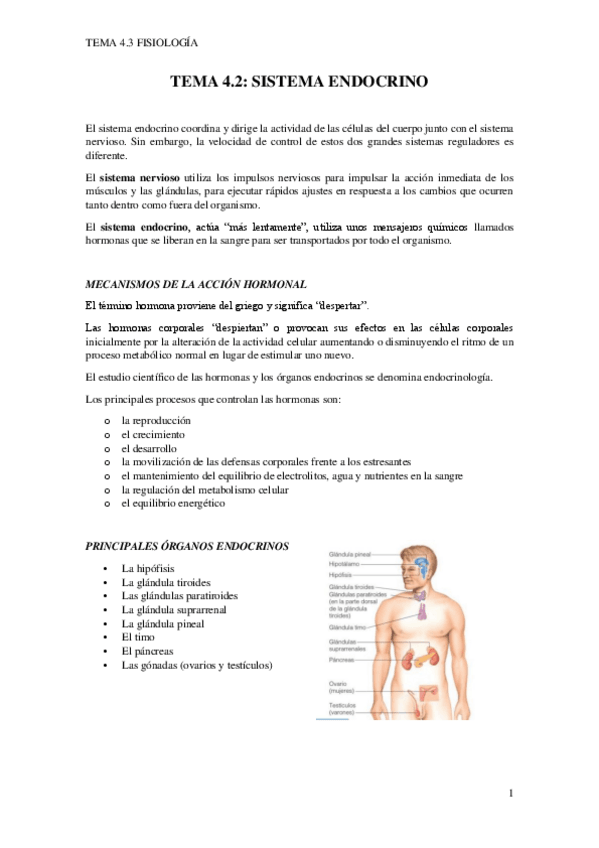 Miniatura del documento TEMA-4.3.pdf