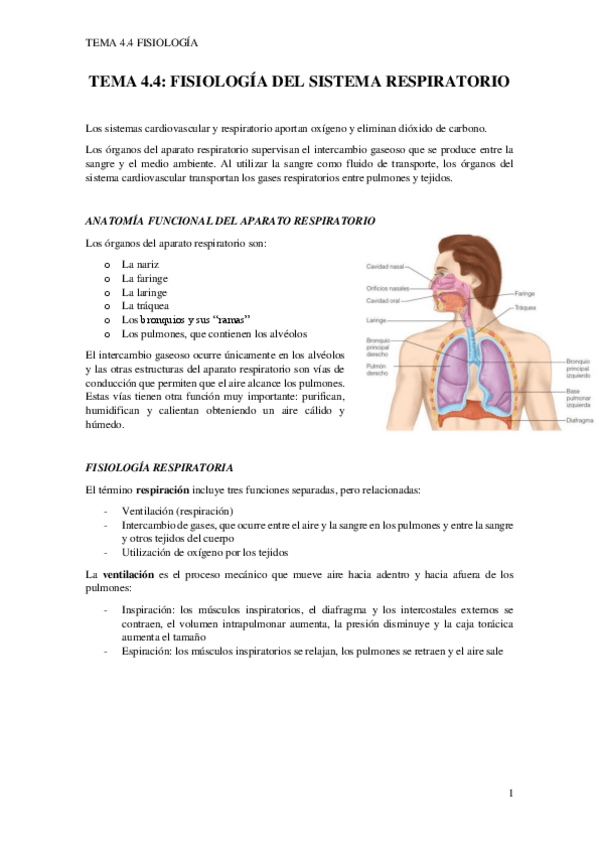 Miniatura del documento TEMA-4.4.pdf