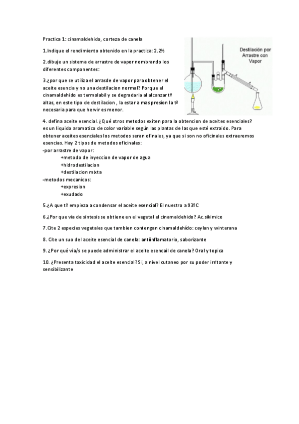 Miniatura del documento practicas.pdf