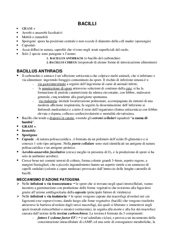 Miniatura del documento BACCILO-CARBONCHIO-e-B.-CEREUS.doc