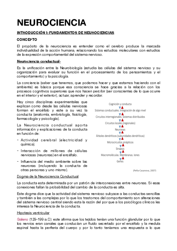 Miniatura del documento NEUROCIENCIA-1-7.pdf