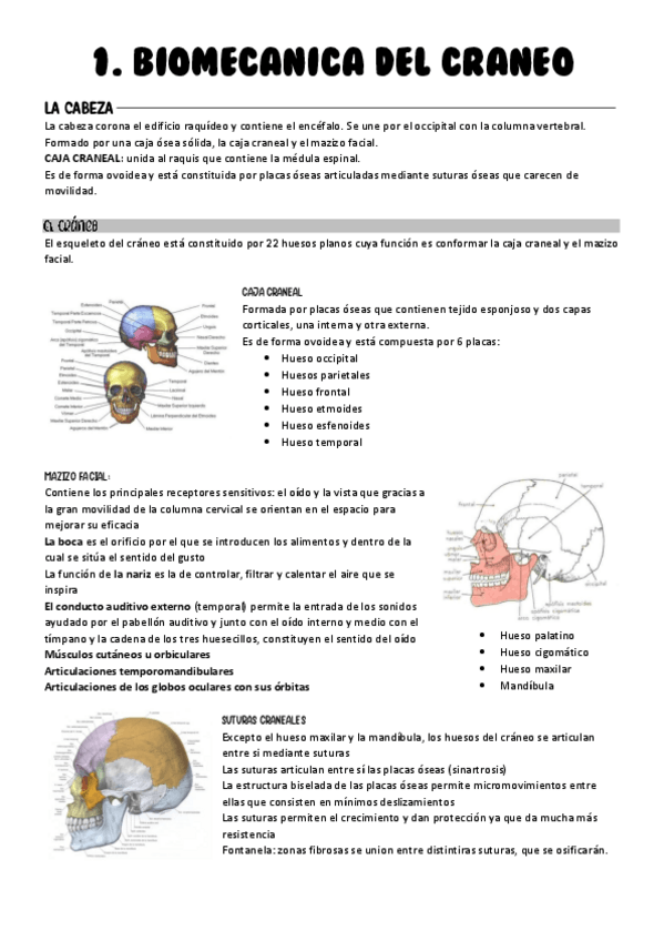 Miniatura del documento Tema-1.-Biomecanica-del-craneo.pdf