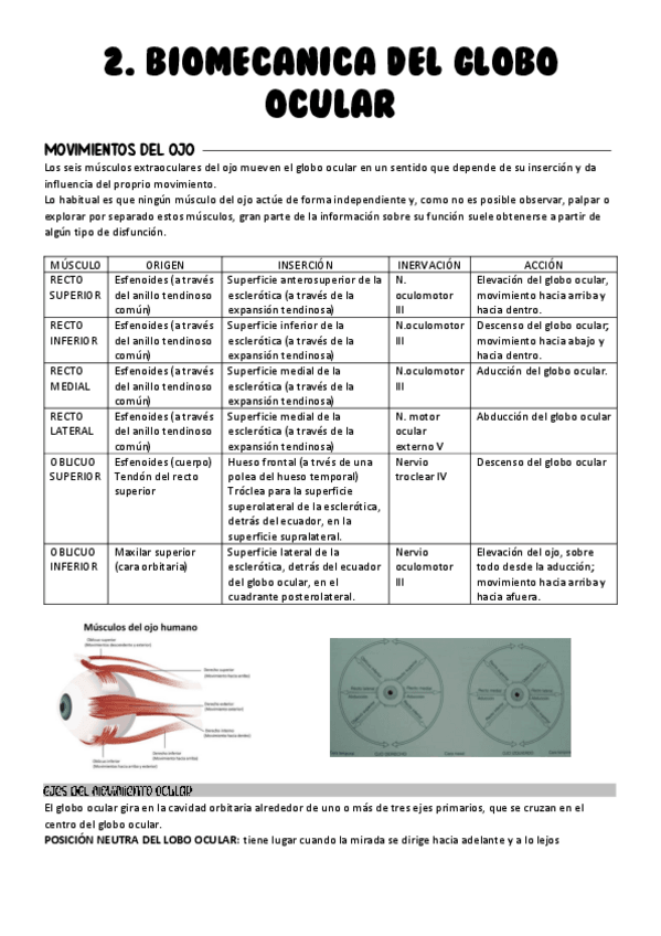 Miniatura del documento Tema-2.-Biomecanica-del-globo-ocular.pdf