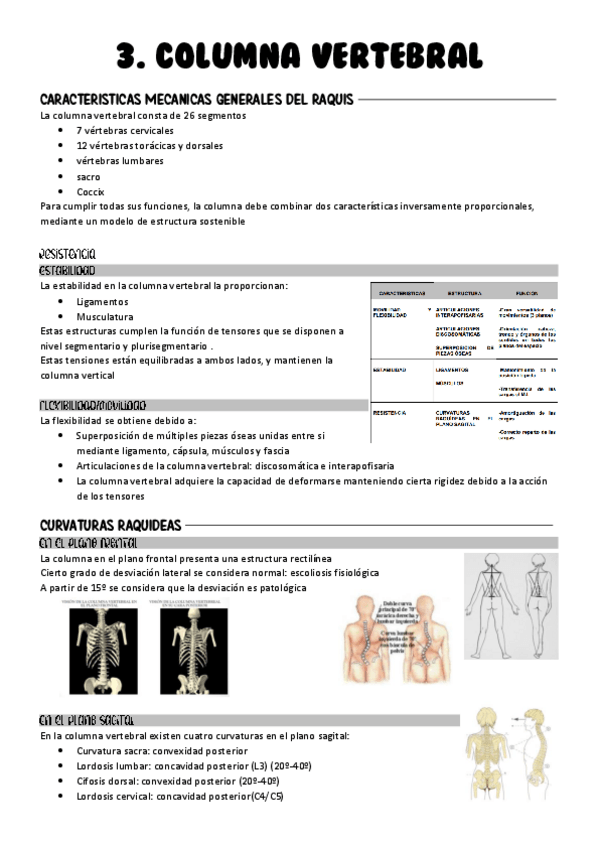 Miniatura del documento Tema-3.-Biomecanica-de-la-columna-vertebral.pdf