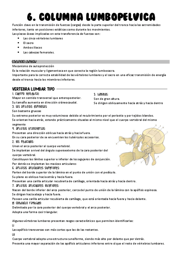 Miniatura del documento Tema-6.-Biomecanica-de-la-columna-lumbopelvica.pdf