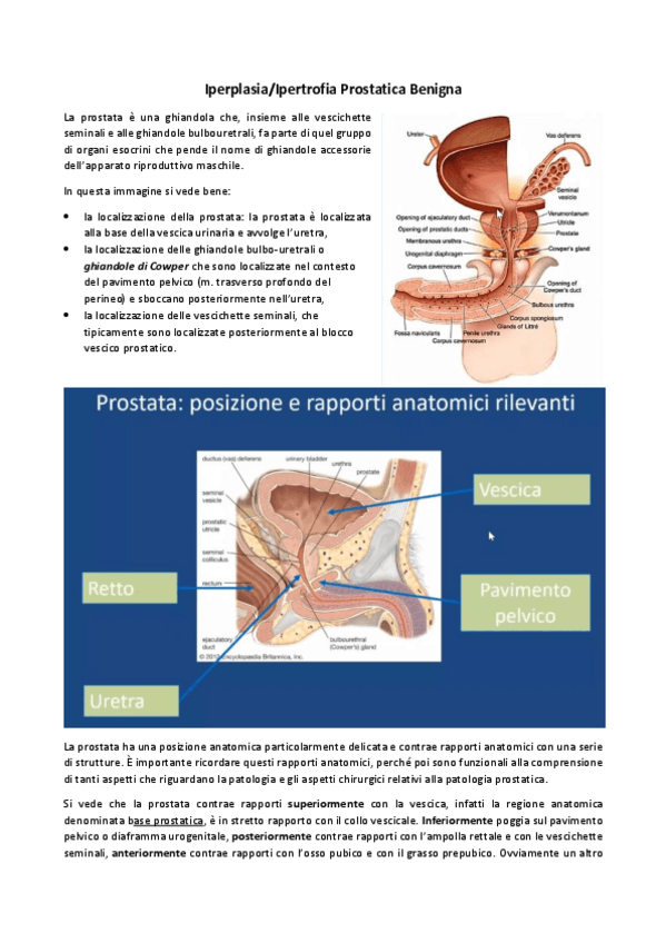 Miniatura del documento UROLOGIA-DEFINITIVO.pdf