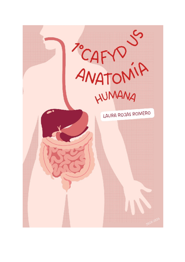 Miniatura del documento TEMA-40-DUODENO-PANCREAS-Y-BAZO.-HIGADO-Y-VIAS-BILIARES.-INTESTINO-DELGADO-Y-GRUESO-YEYUNO-ILEON-Y-COLON.-RECTO-Y-ANO.-Documentos-de-Google.pdf