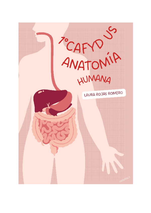 Miniatura del documento TEMA-17-ORGANIZACION-NEURAL-DEL-MIEMBRO-SUPERIOR.-EL-PLEXO-BRAQUIAL.-SISTEMA-NEUROMUSCULAR-DEL-NERVIO-AXILAR.-SISTEMA-NEUROMUSCULAR-DEL-NERVIO-MUSCULO-CUTANEO.-ANATOMIA-FUNCIONAL..pdf