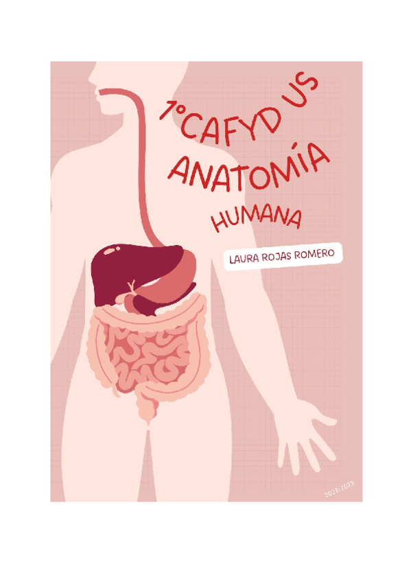 Miniatura del documento TEMA-14-LA-CINTURA-PELVICA.-HUESOS-COXAL-SACRO-Y-COXIS.-ARTICULACION-SACROILIACA-Y-SINFISIS-DEL-PUBIS.-ORGANIZACION-NEUROMUSCULAR-DEL-PERINE.-Documentos-de-Google.pdf