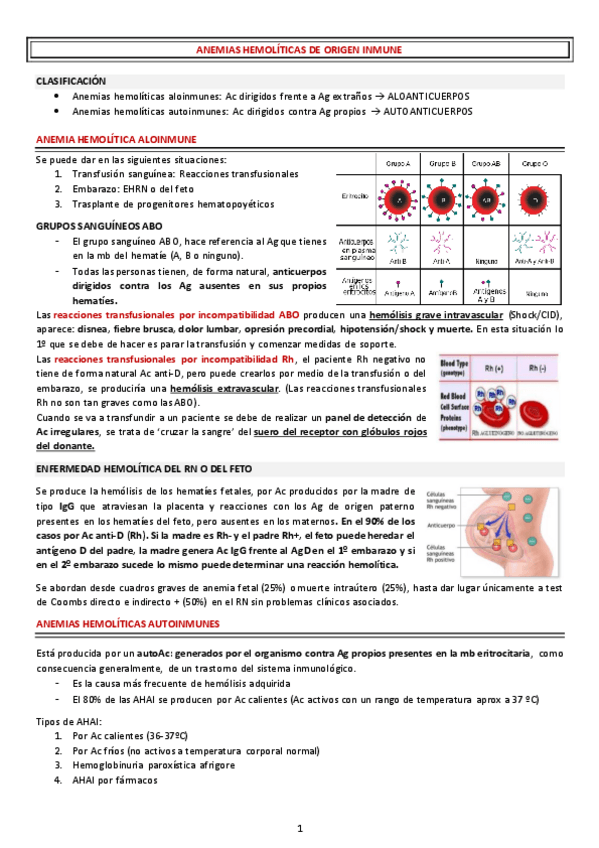 Miniatura del documento ANEMIAS-HEMOLITICAS-DE-ORIGEN-INMUNE.pdf