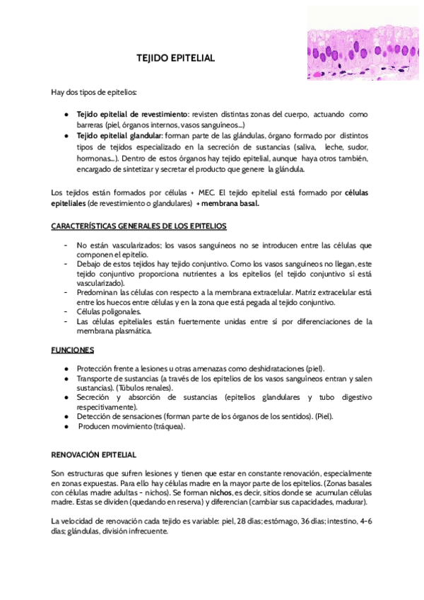 Miniatura del documento TEJIDO-EPITELIAL.pdf