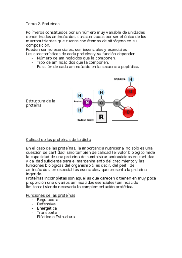 Miniatura del documento Tema 2. Proteinas y Glúcidos.docx