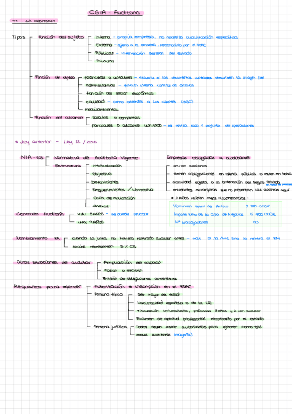 Miniatura del documento Apuntes-Auditoria.pdf