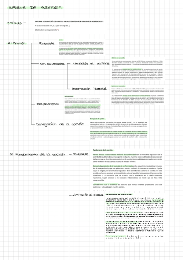 Miniatura del documento Apuntes-Opinion-Auditoria.pdf
