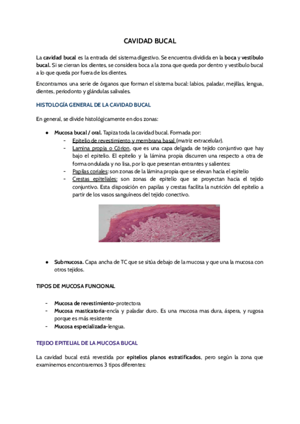 Miniatura del documento CAVIDAD-BUCAL.pdf
