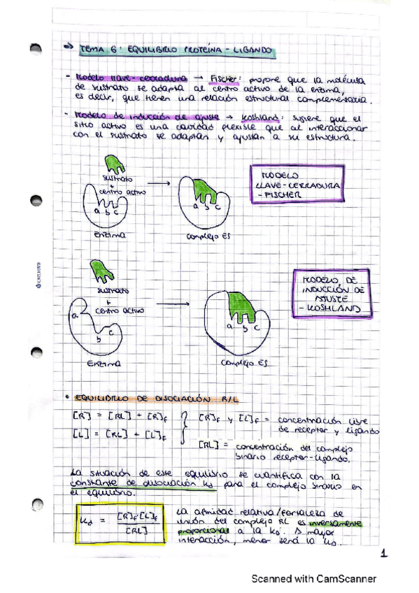 Miniatura del documento TEMA-6..pdf