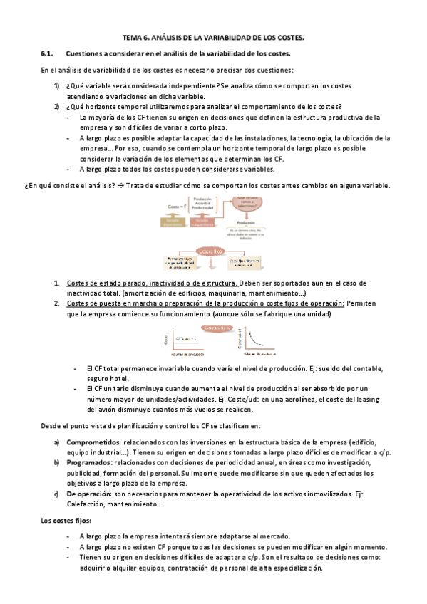Miniatura del documento TEMA-6-conta.pdf