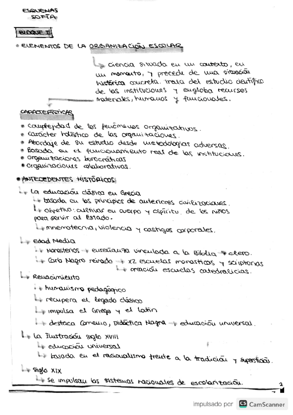 Miniatura del documento apuntes-organizacion.pdf