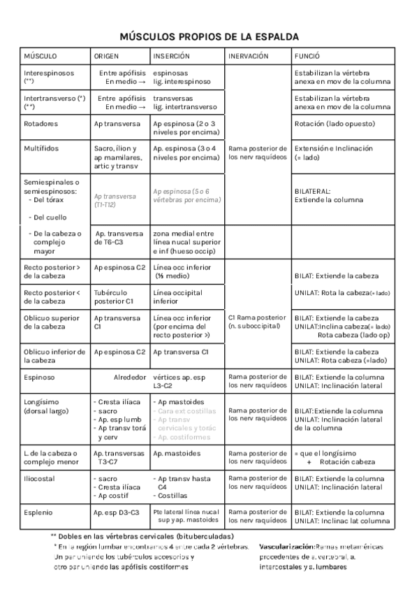Miniatura del documento Músculos.pdf