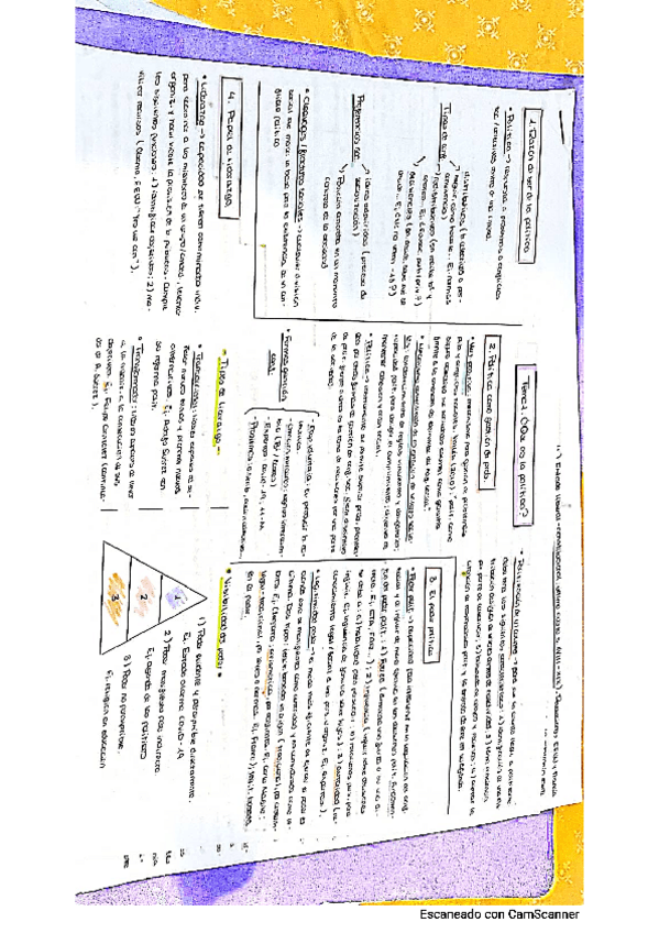 Miniatura del documento Esquemas-Ciencia-Politica.-Definitivo.pdf