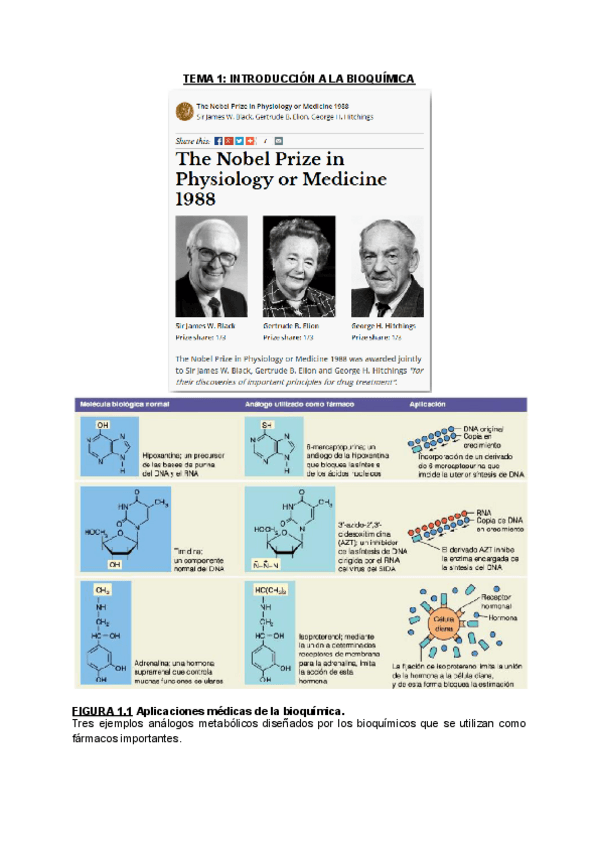 Miniatura del documento TEMA-1-INTRODUCCION-A-LA-BIOQUIMICA.pdf