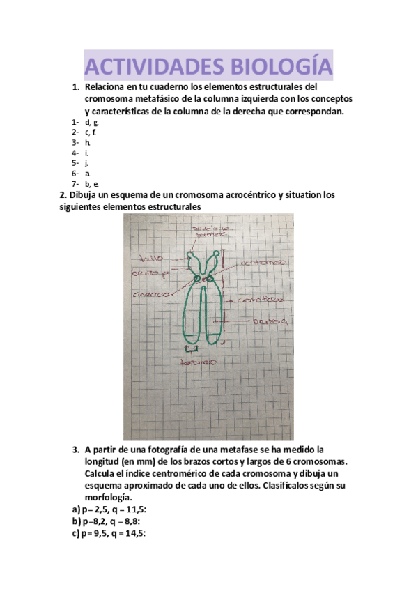 Miniatura del documento Actividades-BM-T11.docx.pdf
