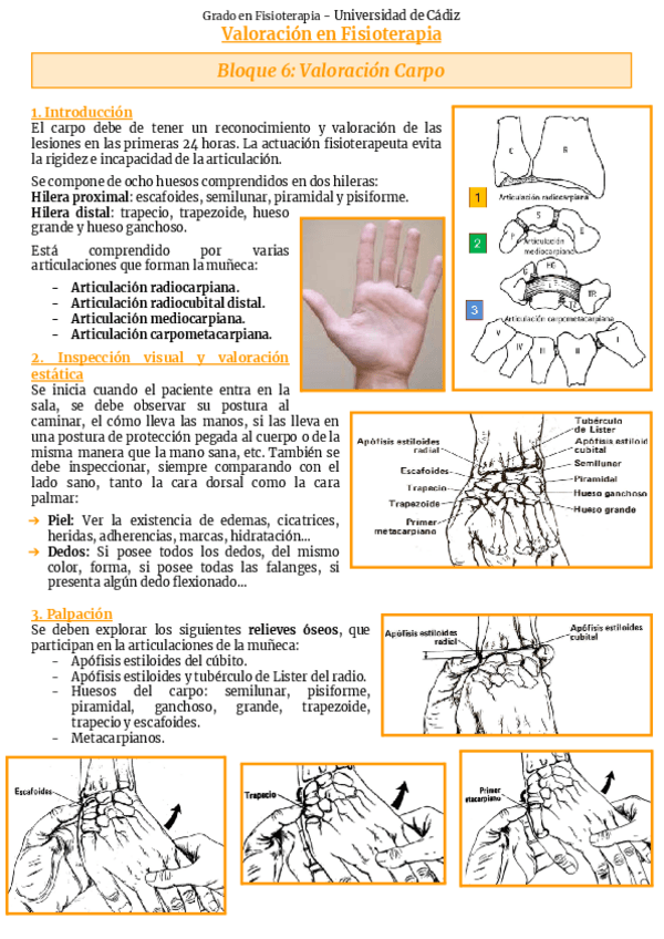 Miniatura del documento Bloque-6-Carpo.pdf