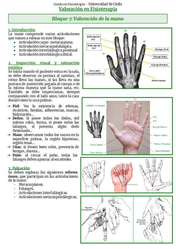 Miniatura del documento Bloque-7-Mano.pdf