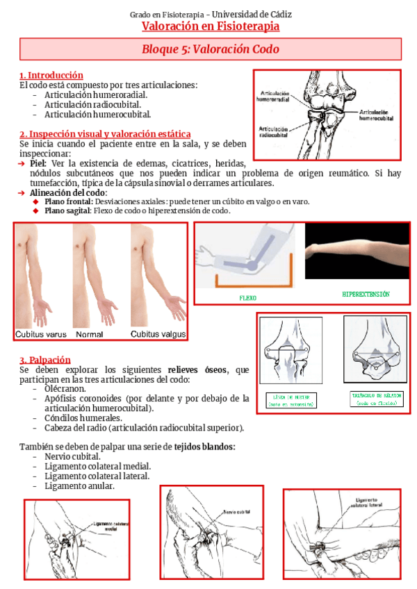 Miniatura del documento Bloque-5-Codo.pdf