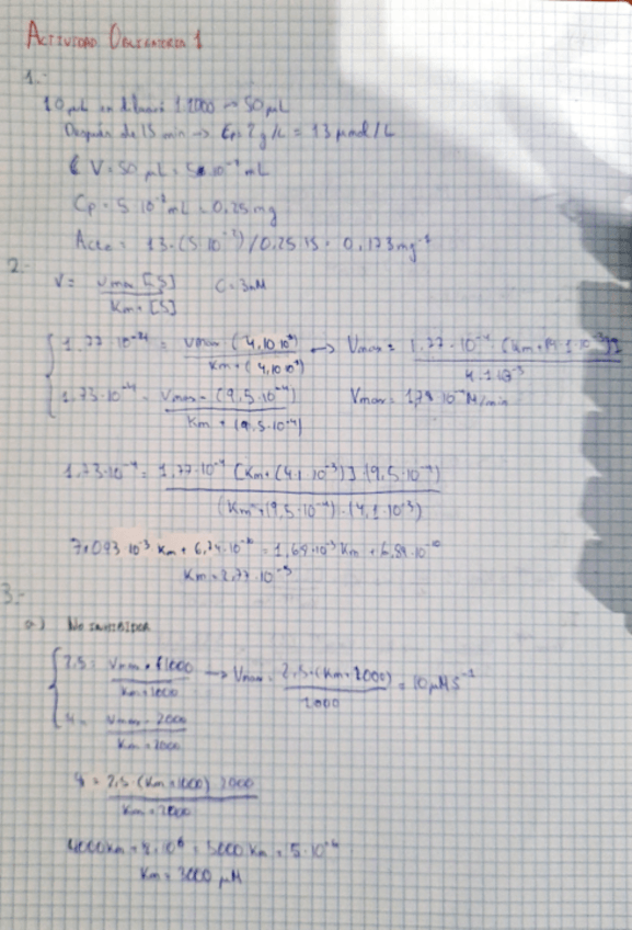 Miniatura del documento Actividad-obligatoria-1.pdf