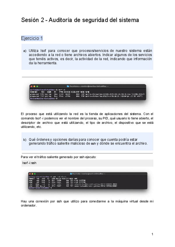 Miniatura del documento P1-Sesion-2.pdf