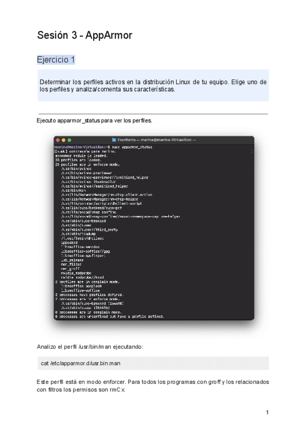 Miniatura del documento P1-Sesion-3.pdf