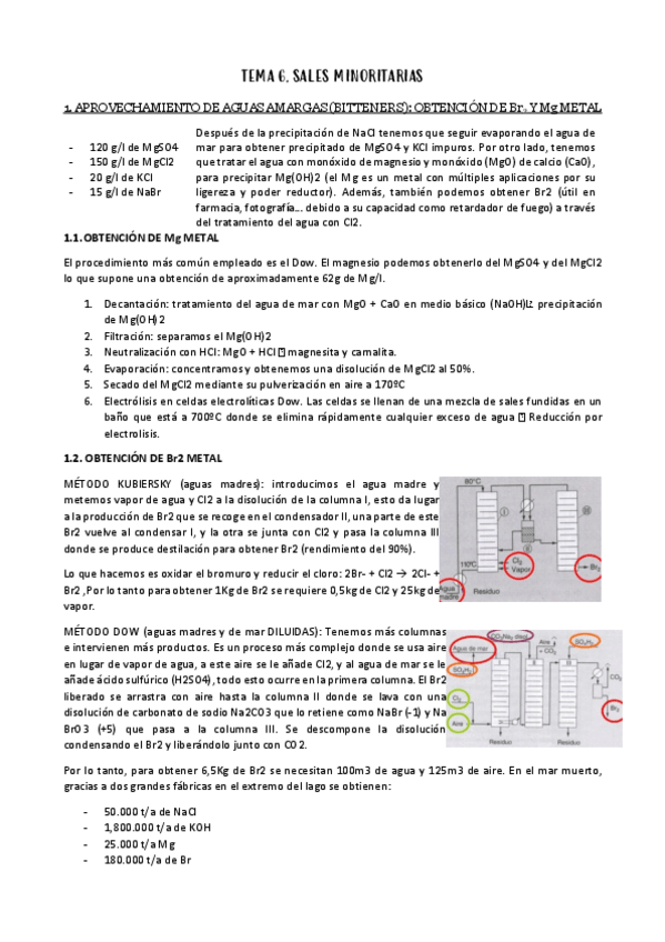 Miniatura del documento T6-SALES-MINORITARIAS.pdf