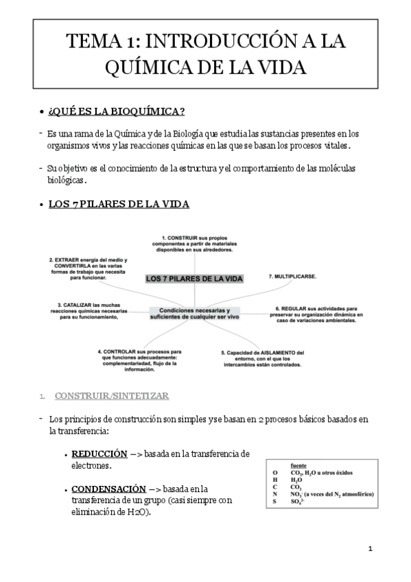 Miniatura del documento Apuntes-bioquimica-todos-los-temas.pdf