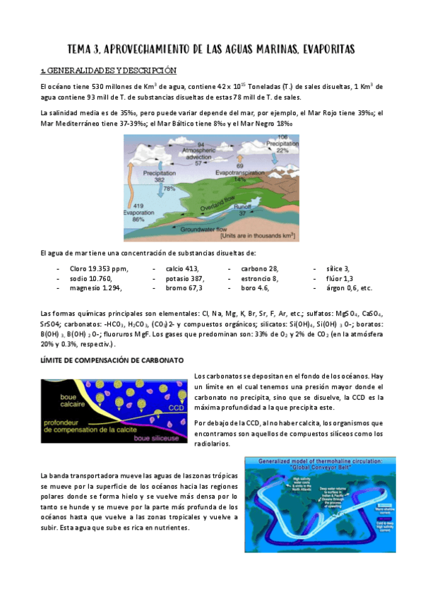 Miniatura del documento TEMA-3-APROVECHAMIENTO-DE-AGUA.pdf