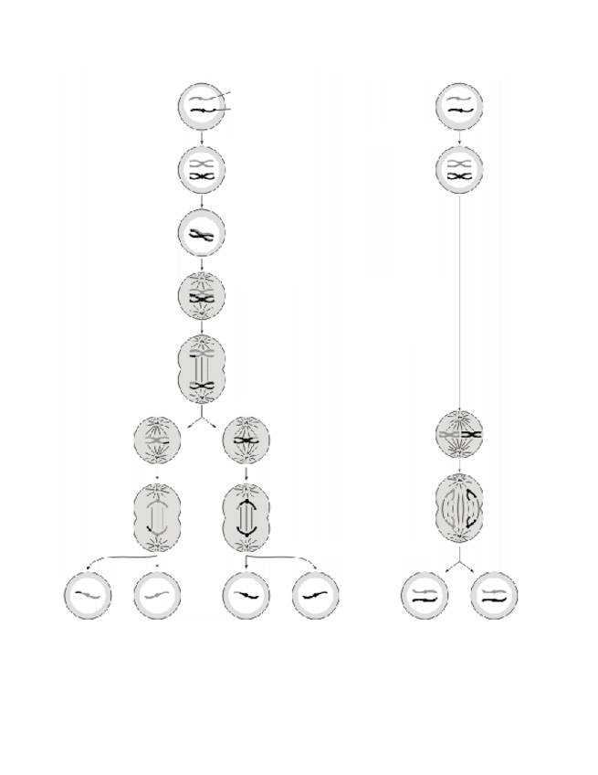 Miniatura del documento 1P2017MODIFICARESQUEMAS-MUDOS.pdf