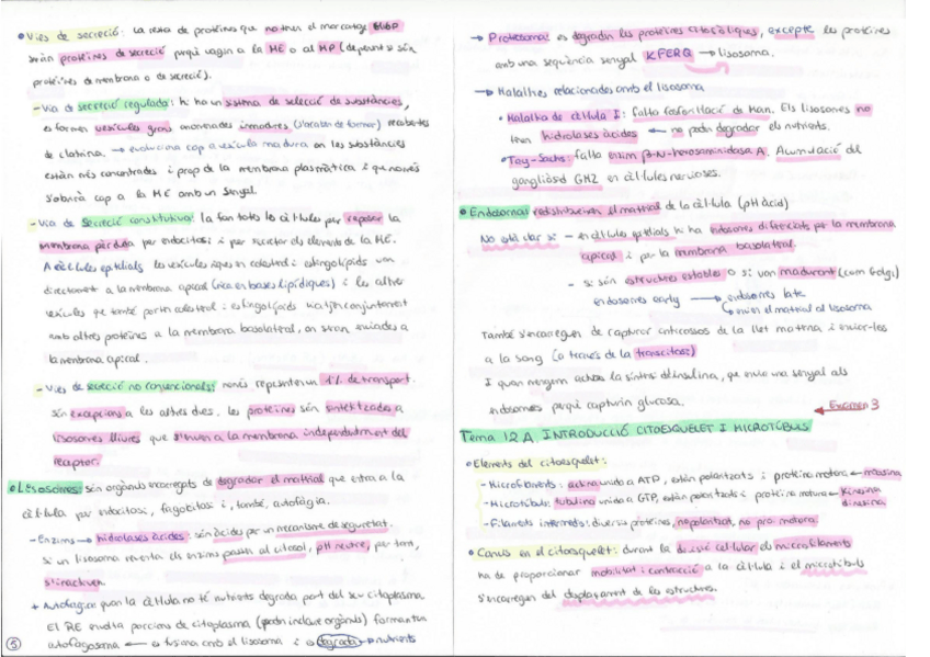Miniatura del documento Biologia Celular Gener.pdf