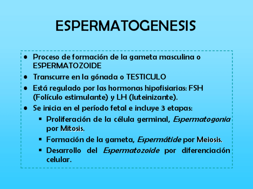 Miniatura del documento Espermatogenesis.pdf