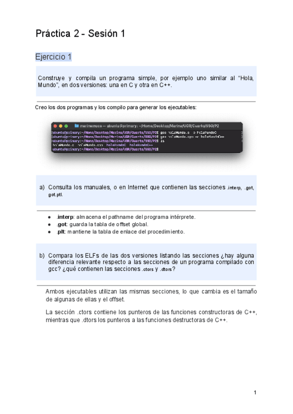 Miniatura del documento P2-Sesion-1.pdf
