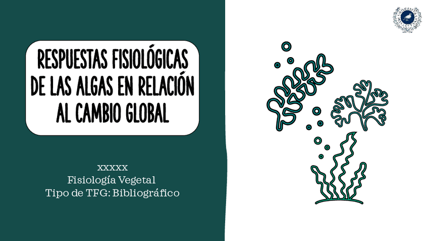 Miniatura del documento tareaTFG2022.pdf