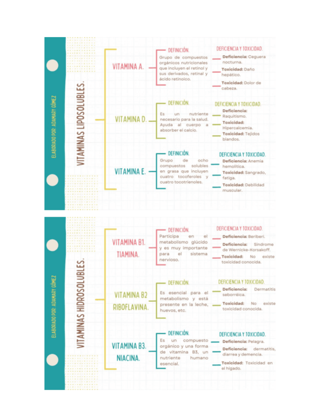 Miniatura del documento Vitaminas-y-minerales.pdf